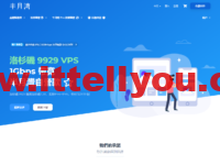 半月湾:京港IPLC/沪港IPLC/广港IPLC等流量转发,100Mbps带宽,100GB月流量,年付100美金