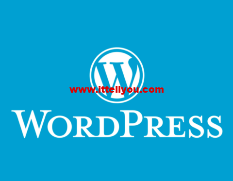 WordPress：2022年10个好用的免费主题推荐