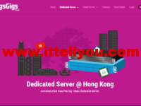 GigsGigsCloud:美国高防vps,洛杉矶机房,1核1GB内存/30GB SSD硬盘/1TB流量/500Mbps带宽/50G-1.6TB DDOS防御, $16.00/月起