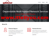 Oplink:美国vps,休斯顿机房,2核/4GB内存/1TB SSD硬盘/2TB流量/10Gbps带宽,$20/月起