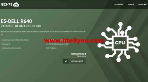 Ezvps：越南河内VPS，原生IP，1Gbps不限流量，支持Windows，月付28元起