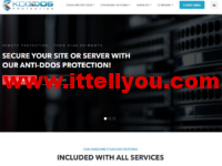 KoDDoS：老牌商家，离岸服务器月付90美元起，DDoS 保护的专用服务器$450 /月起