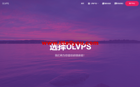 OLVPS：美国洛杉矶kvm  vps，1核/384M内存/5G硬盘/512G流量/100Mbps带宽，¥8.00/月起