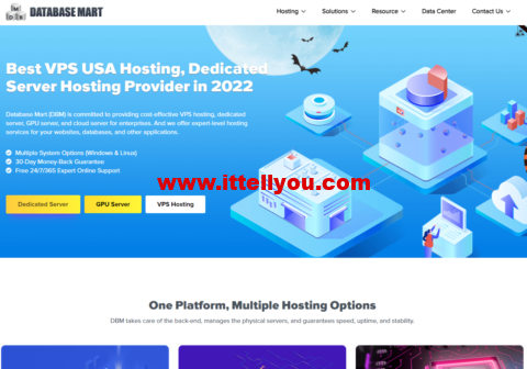 Database Mart: 美国VPS/GPU独服，双十一.99/月起，3折优惠，不限流/200Mbps