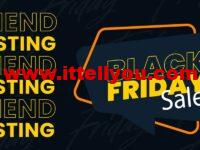 #黑五#Friendhosting：全场vps/vds/大硬盘存储vps，六折优惠，VPS半年付低至10欧元起