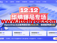 华纳云双12爆品专场：海外云2M CN2仅需24元/月，物理服务器6折购，美国/香港站群服务器上线，支持不同C段IP可选