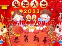 #新春促销#VmShell：香港三网CMI大宽带/美国机房促销活动，Christmas NewYear套餐，$99.99/年，新购3日内支持退款(支持PayPal)