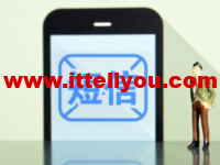 国内外短信验证码接码平台(大部分免费)