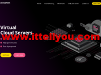 LexusHost：Dual Xeon 5150/16GB内存/2TB硬盘/100TB流量/1Gbps带宽，$66/月，新加坡/美国机房可选