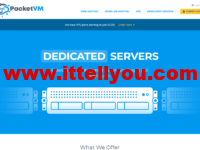 PacketVM:荷兰大硬盘VPS,4核/2G/100GB/3TB/1Gbps带宽,$2.5/月起,达拉斯VPS,$2.5/月起
