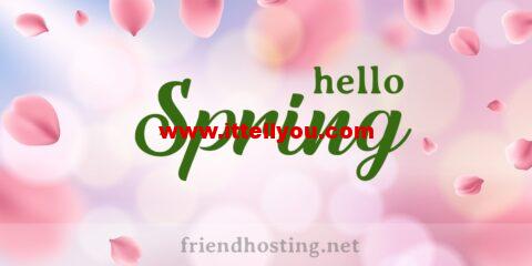 Friendhosting：Spring sale 2023春季促销，国外便宜VPS/大硬盘VPS，可选全球11个数据中心，全场75折优惠，月付低至.2起