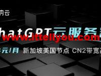 华纳云：ChatGPT云服务器低至24元/月，CN2带宽高速回国，美国/新加坡节点可选