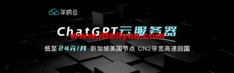 华纳云：ChatGPT云服务器低至24元/月，CN2带宽高速回国，美国/新加坡节点可选