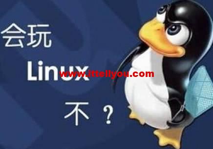 云服务器操作系统怎么选择?