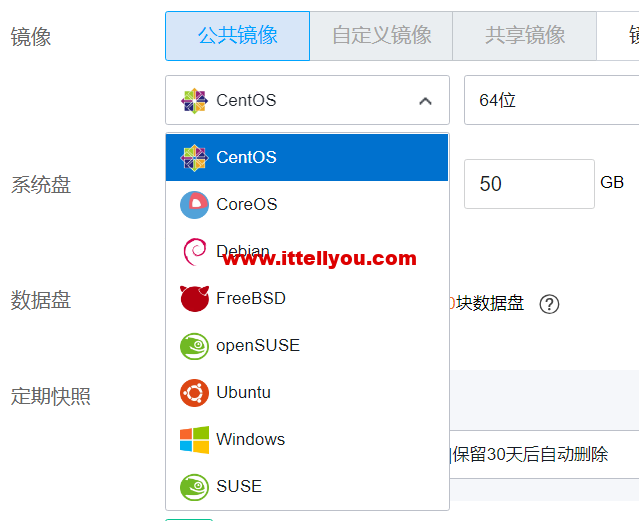 云服务器操作系统怎么选择,阿里云腾讯云通用教程