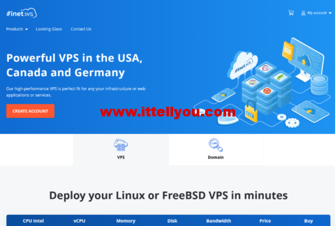 INET.WS：美国便宜vps，新增阿什本和达拉斯数据中心，/月起，另可选西雅图/凤凰城/芝加哥等11机房
