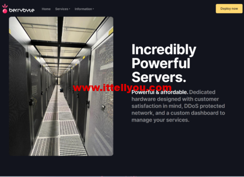 BerryByte：美国和欧洲vps，1核独享/2GB内存/25GB NVMe/10TB流量/10Gbps带宽，/月，可选达拉斯/荷兰/英国机房
