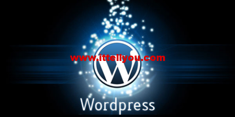 1689228181 WordPress