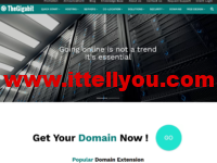 TheGigabit：马来西亚Linux VPS/Windows VPS，1核/1G内存/40G SSD/不限流量/10Mbps带宽，月付40马币，约人民币61元