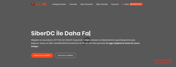 SiberDC：/月/1GB内存/30GB SSD空间/不限流量/1Gbps端口/KVM/土耳其
