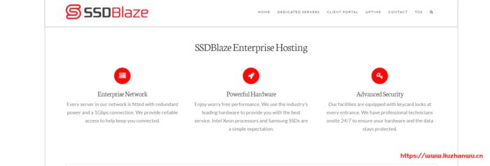 #便宜#SSDBlaze：Xeon X5650/48G内存/1T HDD/10T流量/1Gbps/5IP/达拉斯/首月