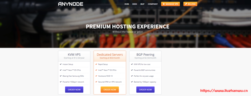 #黑5# anynode：拉斯维加斯VPS，低至/年，KVM/512M内存/1核/10gSSD/1T流量