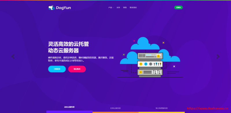 dogyun：破站论坛-定制VPS，终身8折，香港\韩国\美国cn2等，低至12元/月