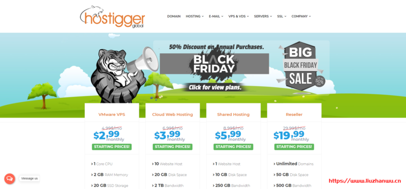 【黑五】Hostigger：.94/年/2GB内存/20GB SSD空间/2TB流量/1Gbps端口/VMware/土耳其