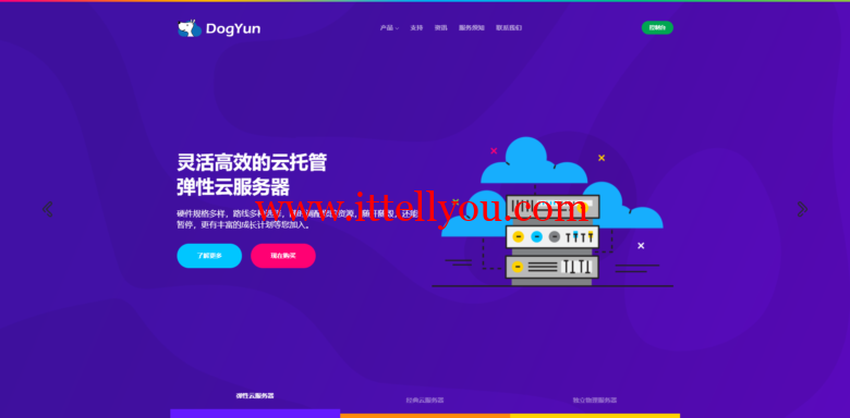 DogYun：双11优惠，新开独立服务器，每月优惠100元，充值110送10元