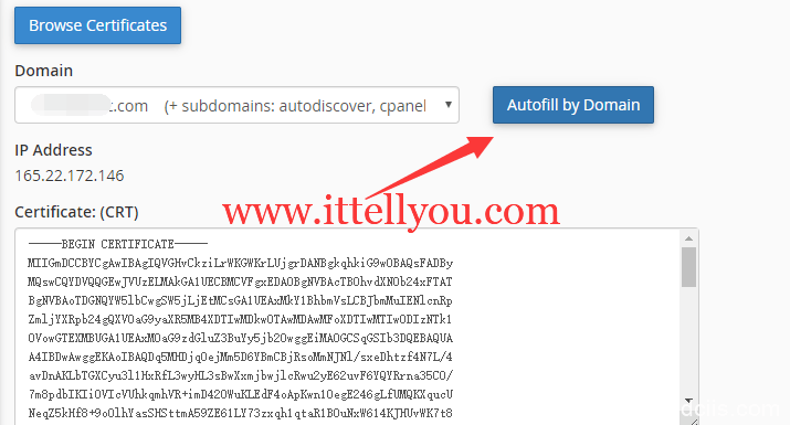 Autofill-by-Certificate