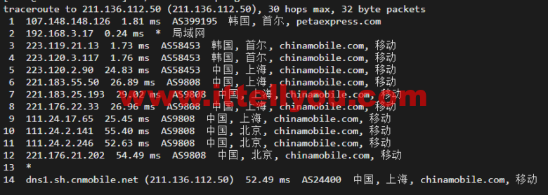 raksmart：韩国首尔机房独立服务器，精品网10M线路，机器性能/流媒体/线路等测评数据分享