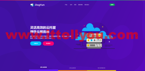 Dogyun：香港vps，CN2+BGP线路，1核 AMD/512M内存/10G SSD硬盘/300G流量/50Mbps带宽，年付￥180元起