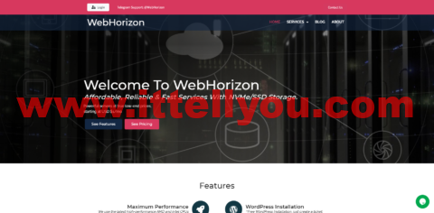 #补货#WebHorizon：香港NAT VPS，1核/256M内存/4GB NVMe硬盘/500G流量/1Gbps端口，/2年