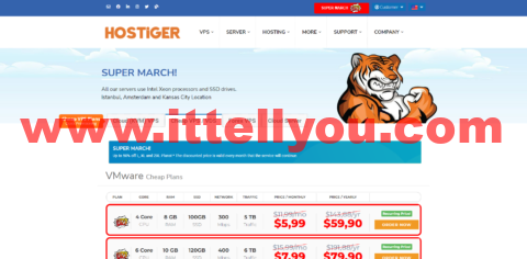hostiger：土耳其便宜vps，4核/8G内存/100G SSD硬盘/5TB流量/300M带宽，,99/月起，年付仅需,90