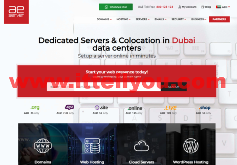 AEserver：迪拜VPS，1核/1G内存/30G SSD硬盘/不限流量/5M带宽，.00/月起，支持IPv6，迪拜独立服务器0.00/月起