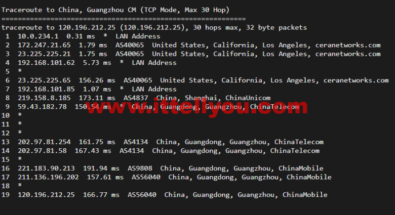 10gbiz：洛杉矶VPS云服务器（CN2 GIA）线路，简单测评