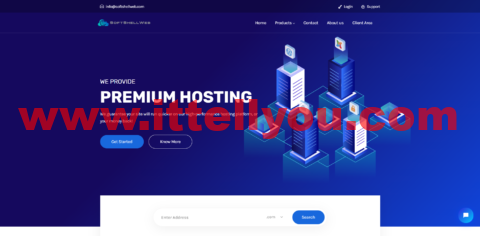 SoftShellWeb：便宜vps，1核/1G内存/20G SSD硬盘/不限流量，.5/月起，可选圣何塞/荷兰/台湾机房