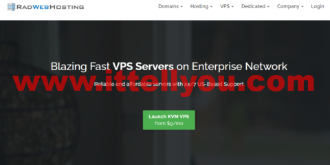 Radwebhosting：美国便宜vps，全场5折优惠，1核/512M内存/15GB SSD硬盘/1TB流量/100Mbps带宽，月付起，独立服务器月付.00起