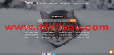 SugarHosts：香港VPS，原生IP，1核/1G内存/20GB硬盘/不限流量，44.55元/月起，可选windows vps