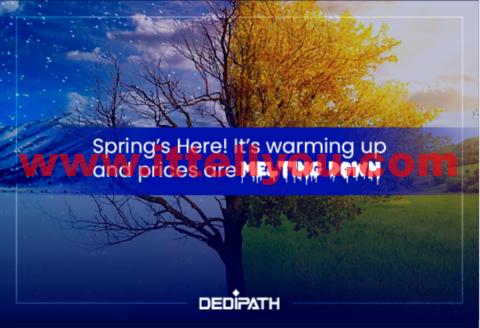 DediPath:洛杉矶高防服务器,E3-1240v2/16GB内存/2TB硬盘/不限流量/1Gbps带宽,$39/月起