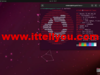 常见的 10 个基于 Debian 的 Linux 发行版