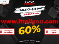 #黑五#HostingViet：越南VPS/邮箱服务5折，160元/月起，买1年送2个月，续费一年85折额外送3月