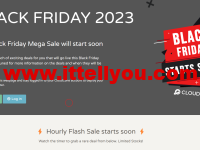 #黑五#CloudCone：闪购活动即将开始，洛杉矶QN机房VPS，$7.99/年起