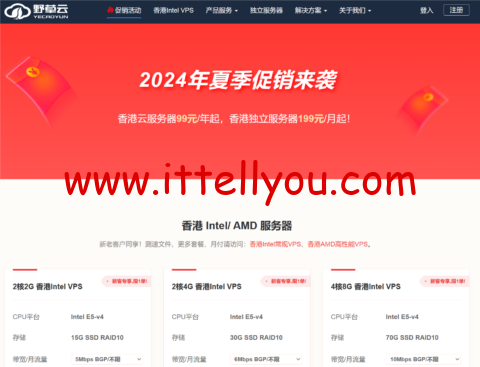 野草云：香港MG机房，2核/2GB/30GB/500GB@100Mbps带宽，99元/年