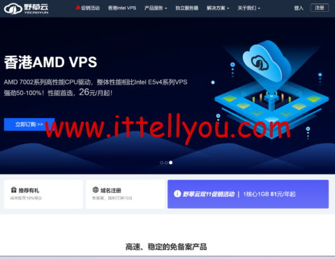 #黑五#野草云：美国/香港VPS，2核/2GB/15GB SSD/500GB@100Mbps，99元/年起