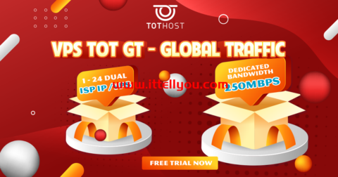 TOTHOST：越南VPS八五折，250Mbps不限流量，.6/月起，双ISP属性IP