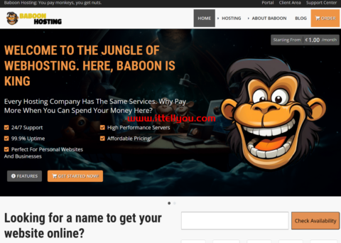 BaboonHosting：荷兰vps，1核/1GB/30GB SSD/4TB@5Gbps，€10.99/年